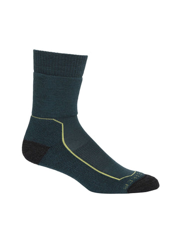 Icebreaker Merino Hike+ Medium Crew Socks - Women's