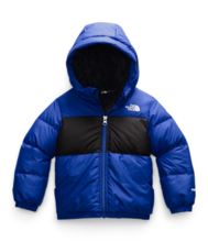 The North Face Moondoggy Hoodie - Toddler