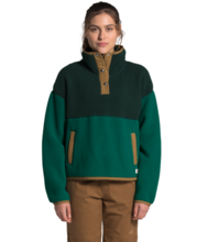 The North Face Cragmont Fleece ¼ Snap - Women's