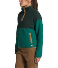 The North Face Cragmont Fleece ¼ Snap - Women's