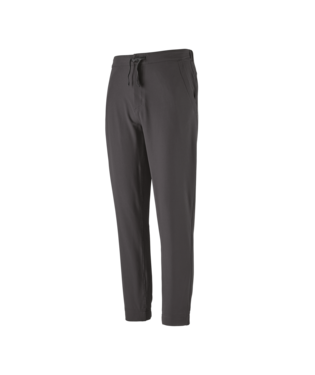 Patagonia Skyline Traveler Pants - Men's