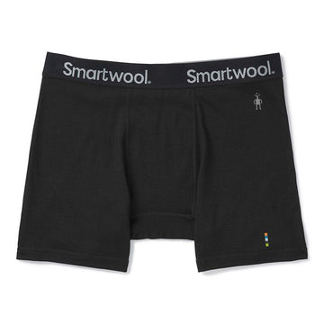 Smartwool Merino Sport 150 Boxer Brief - Men's