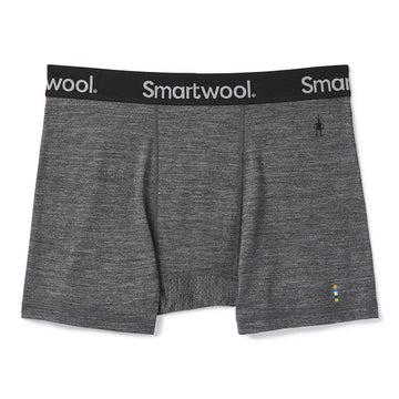 Smartwool Merino Sport 150 Boxer Brief - Men's